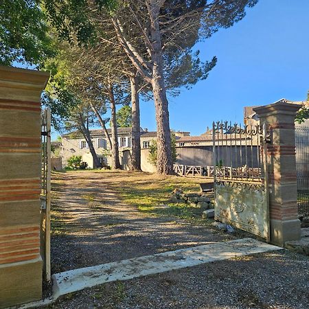 Domaine Villecarla Villedubert Dış mekan fotoğraf