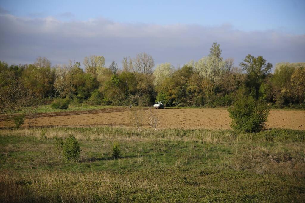 Domaine Villecarla Villedubert Dış mekan fotoğraf