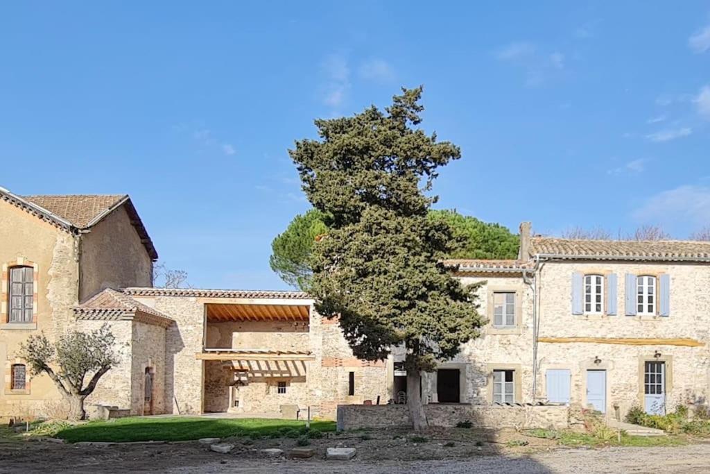 Domaine Villecarla Villedubert Dış mekan fotoğraf