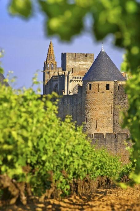Domaine Villecarla Villedubert Dış mekan fotoğraf