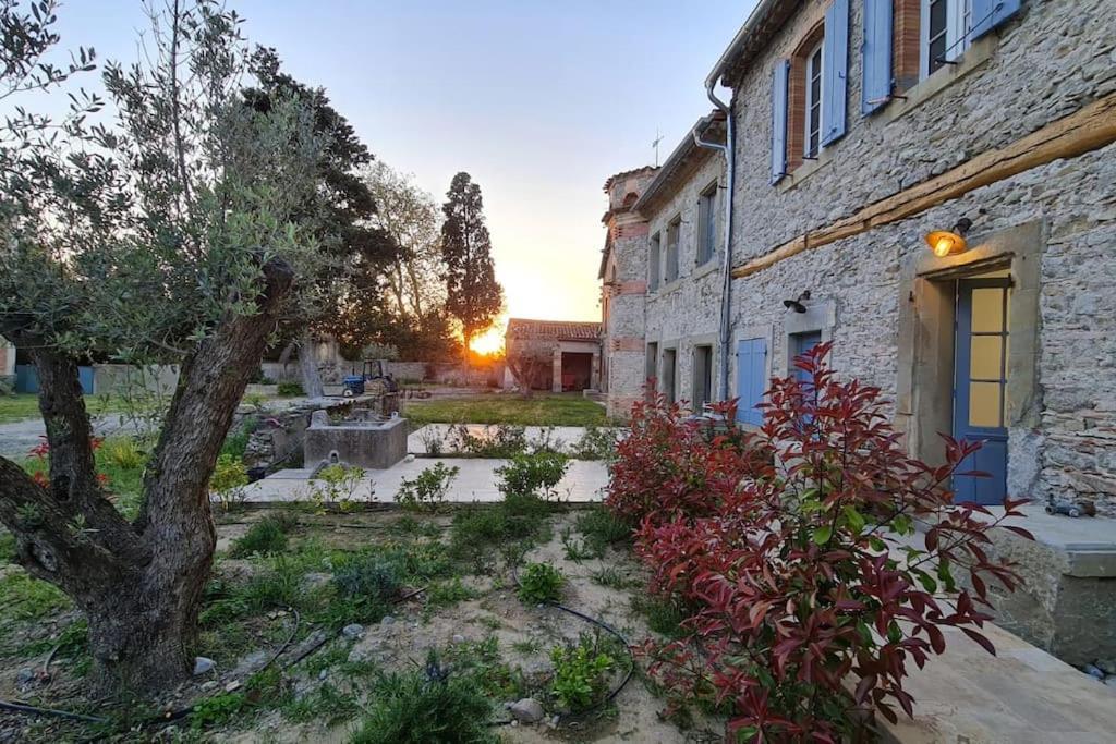 Domaine Villecarla Villedubert Dış mekan fotoğraf